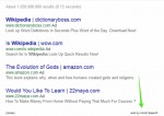 Hoist Search Ads