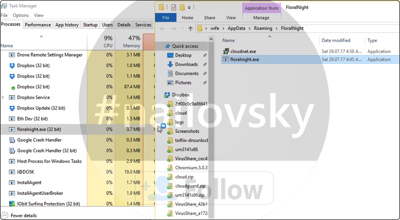 Floralnight.exe (32 bit) virus