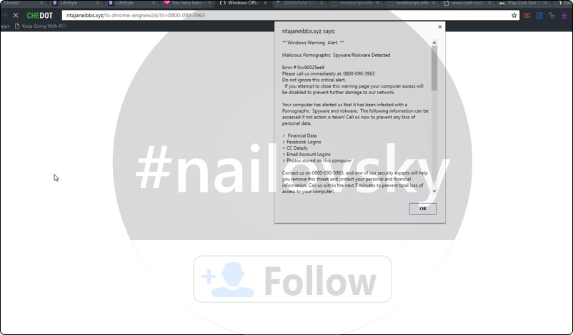 Ritajaneibbs.xyz 0800-090-2863 scam
