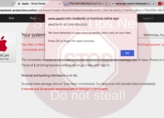 Apple.com-macbook-protections.online scam on Mac