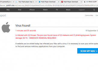 Job001.site (1) Virus Alert scam