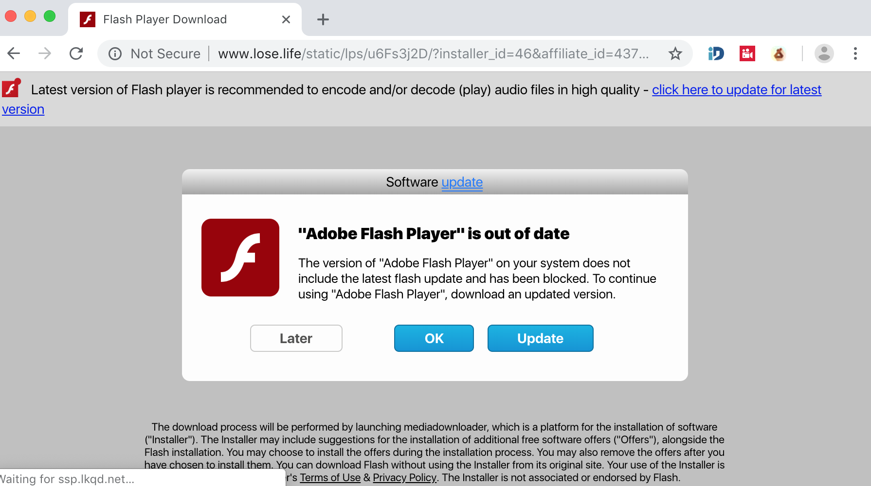 Lose.life fake Adobe Flash Player alert