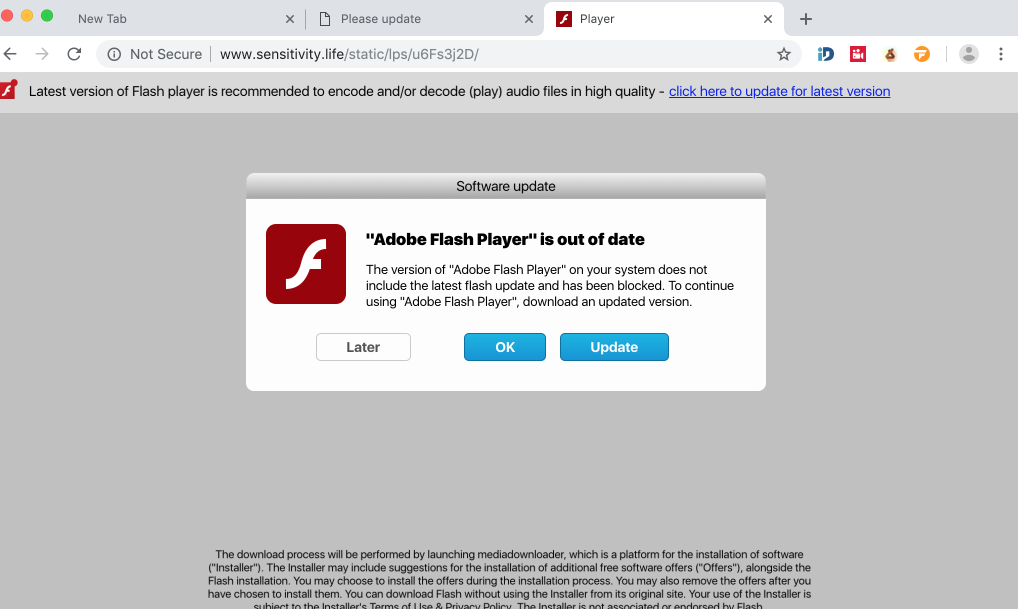 Sensitivity.life fake Adobe Flash Player update alert