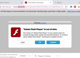 Tense.life fake Flash Player Download scam