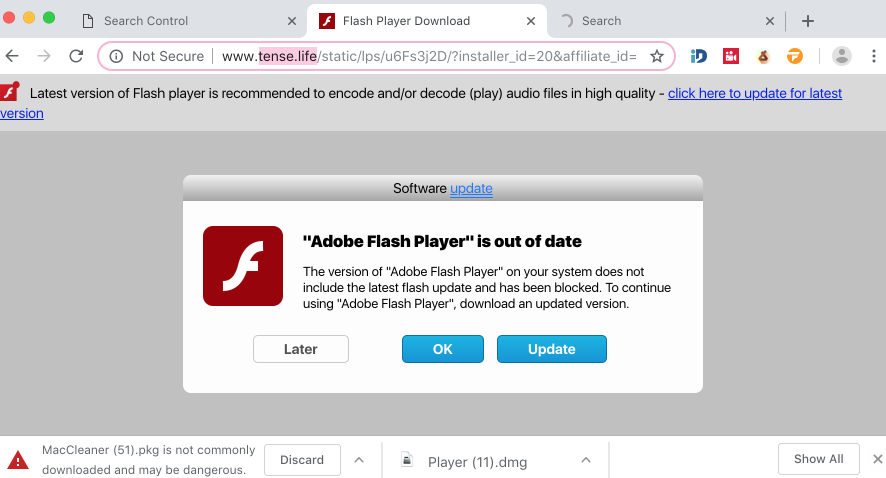 Tense.life fake Flash Player Download scam