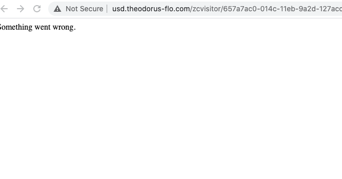 Usd.theodorus-flo.com redirect virus